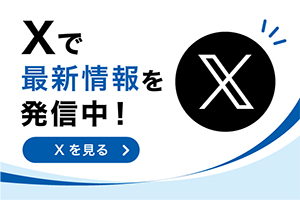 ������ЃV���o�[�u���b�W X